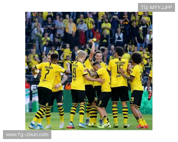 多特蒙德争冠稳定性不足问题显现,对赛季走势产生阶段性影响 多特蒙德争冠稳定性不足问题显现,对赛季走势产生阶段性影响