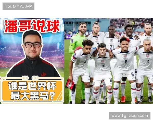 世界杯E组黑马与热门球队对比 世界杯E组黑马与热门球队对比